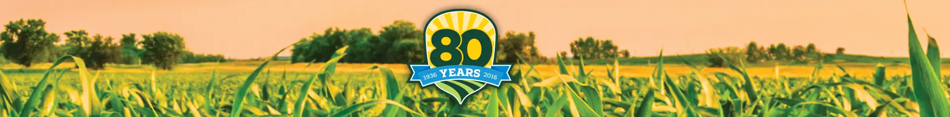 80 years of dedication